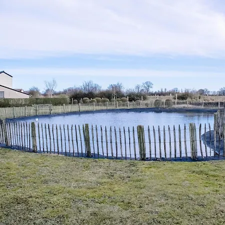 Dune - Nieuwe Vakantiewoning Met Tuin Dicht Bij
